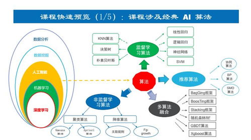 上海人工智能軟件開發培訓如何選？深入解析上海容大職業與淘學培訓